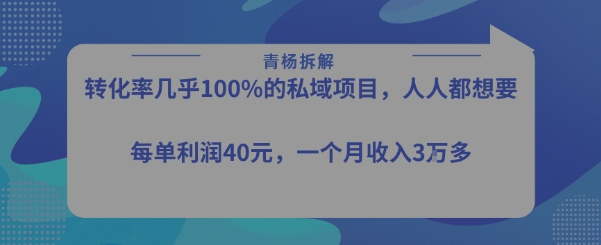 转化率最高的私域项目，每单利润40-50米，月入过1w-网赚知识点