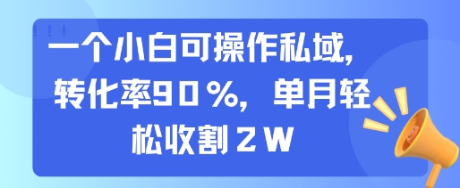 一个小白可操作私域，转化率90%，单月轻松收割2W-网赚知识点