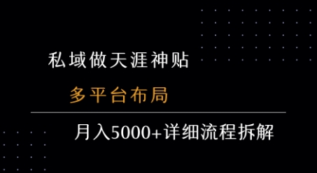 私域做天涯神贴 多平台布局 月入5k+详细流程拆解-网赚知识点