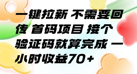 一键拉新 不需要回传 首码项目 接个验证码就算完成 一小时收益70+【揭秘】-网赚知识点