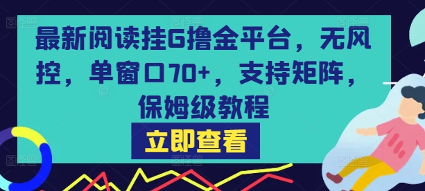 最新阅读挂G撸金平台，无风控，单窗口70+，支持矩阵，保姆级教程【揭秘】-网赚知识点