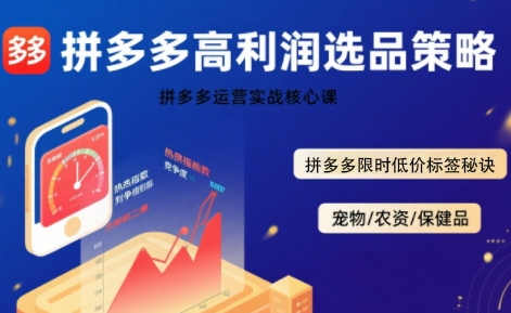 拼多多选品暴利技术实战课，拼多多高利润选品策略，拼多多限时低价标签秘诀-网赚知识点