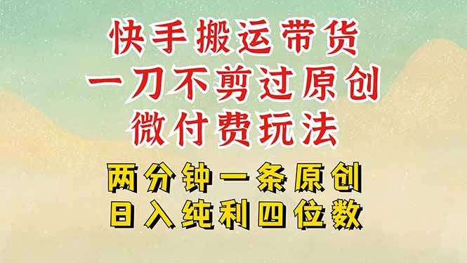 快手黑科技搬运带货，一刀不剪过原创，微付费投流玩法，轻松日入四位数…-网赚知识点