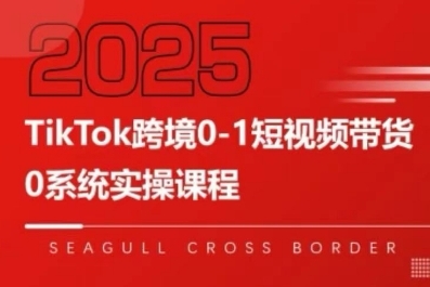 TikTok跨境0-1短视频带货，系统拆解TikTok跨境带货全链路，实现跨境可持续盈利-网赚知识点