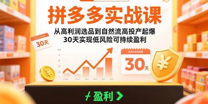 拼多多实战课：从高利润选品到自然流高投产起爆 30天实现低风险可持续盈利-网赚知识点
