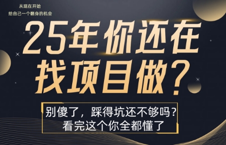 25年，你还在疯狂的找项目吗？别傻了，看完这个你都懂了【揭秘】-网赚知识点