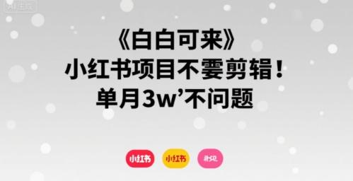 小白可来 小红书项目不需要剪辑 单月3w不是问题-网赚知识点