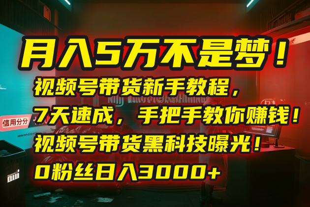 月入5万不是梦！视频号带货新手教程，7天速成，手把手教你赚钱！视频号…-网赚知识点