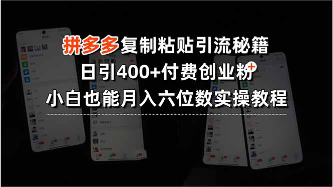拼多多复制粘贴引流秘籍，日引400+付费创业粉，小白也能月入六位数实操…-网赚知识点