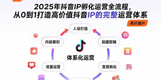 2025年抖音IP孵化运营全流程，从0到1打造高价值抖音IP的完整运营体系-网赚知识点