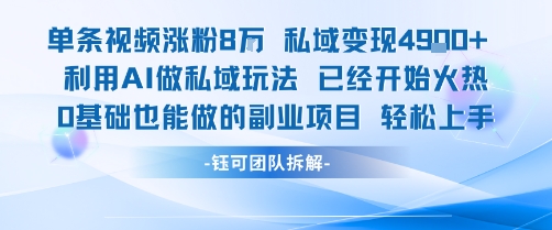单条视频私域变现4.9k+利用AI做私域玩法 已经开始火热0基础也能做的副业项目轻松上手-网赚知识点