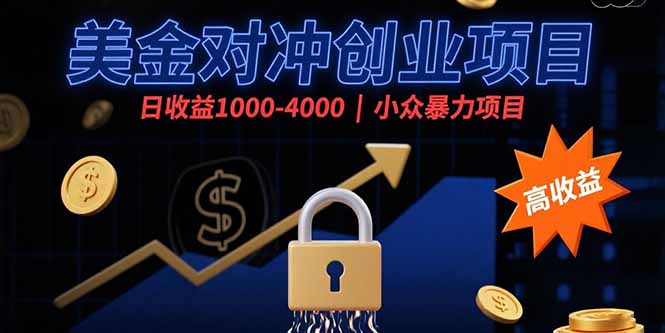 美金对冲创业项目，日收益1000-4000，小众暴力项目-网赚知识点