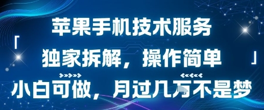 苹果手机技术服务，独家拆解，操作简单，小白可做，月过1W不是梦-网赚知识点