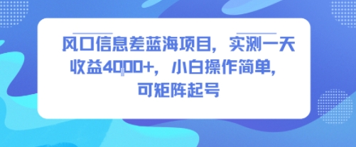 风口信息差蓝海项目，实测一天收益4k+，小白操作简单，可矩阵起号-网赚知识点