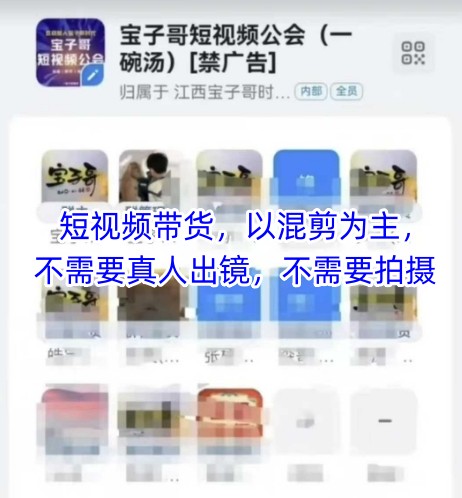 宝子哥头部团队短视频带货，以混剪为主，不需要真人出镜，不需要拍摄【更新8月】-网赚知识点