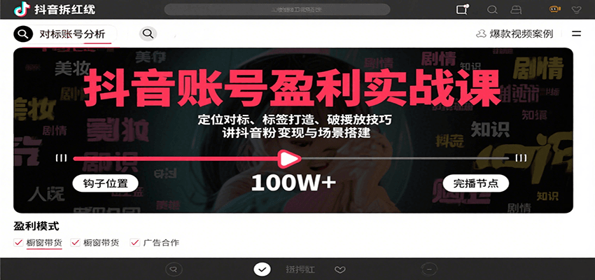 抖音账号盈利实战课,定位对标、标签打造、破播放技巧,讲涨粉变现与场景搭建-网赚知识点