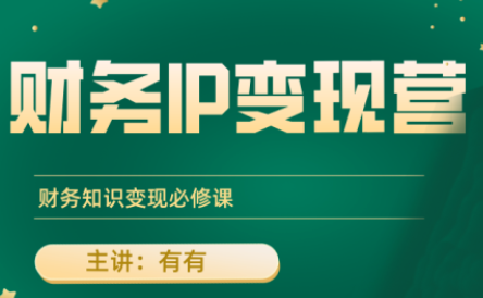 有有老师·财务IP变现营，财务知识变现必修课-网赚知识点