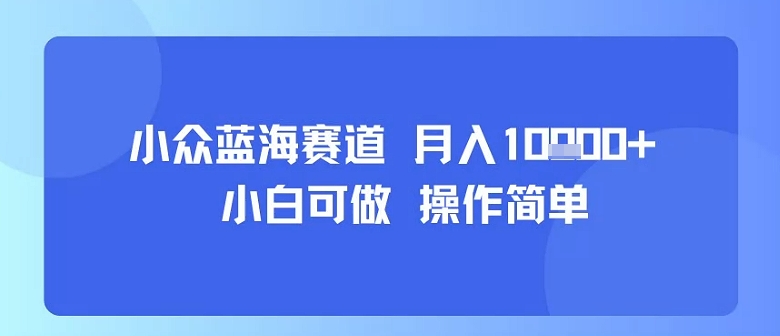 小众蓝海赛道，小白可做，操作简单，每天30分钟，月入1W+-网赚知识点