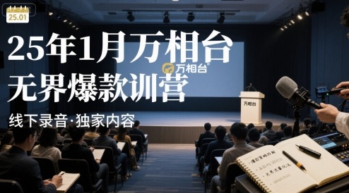 25年1月万相台无界爆款特训营线下录音-网赚知识点