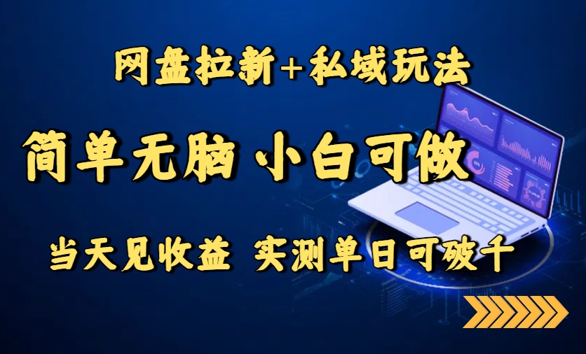 网盘拉新+私域玩法，简单无脑，小白可做，当天见收益，实测单日可破千-网赚知识点