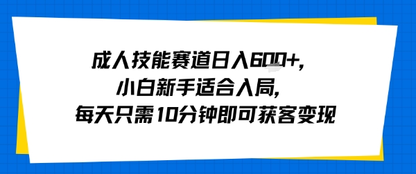 成人技能赛道日入多张，小白新手适合入局，每天只需10分钟即可获客变现-网赚知识点