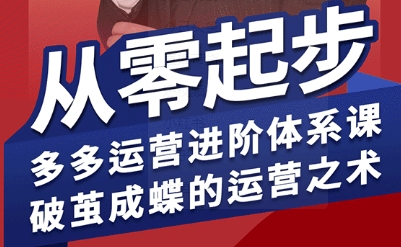 拼多多运营进阶系统课，从零起步，多多运营进阶体系课，破茧成蝶的运营之术-网赚知识点