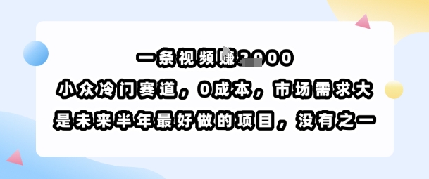 一条视频挣1k，小众冷门赛道，0成本，市场需求大，是未来半年最好做的项目，没有之一-网赚知识点