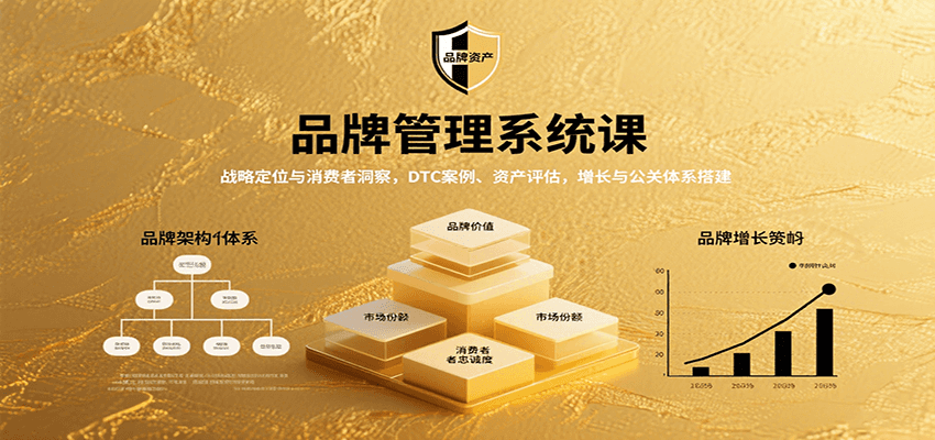 品牌管理系统课：战略定位与消费者洞察，DTC案例、资产评估，增长与公关体系搭建-网赚知识点