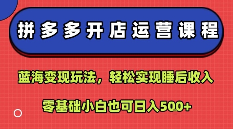 拼多多开店运营课程：蓝海变现玩法，轻松实现睡后收入，零基础小白也可日入5张-网赚知识点