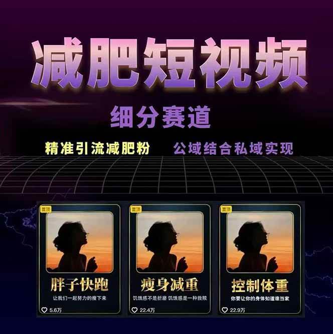 图片[2]-减肥短视频运营实战课：含素材制作、剪映教学，讲精准引流、变现设计与内容模板技巧-网赚知识点