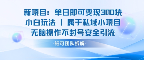 新项目单日即可变现3张的小白玩法无脑操作不封号安全引流-网赚知识点