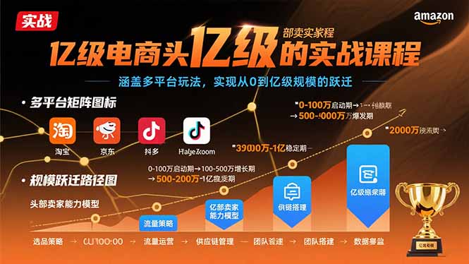 亿级电商头部卖家的实战课程：涵盖多平台玩法，实现从0到亿级规模的跃迁-网赚知识点